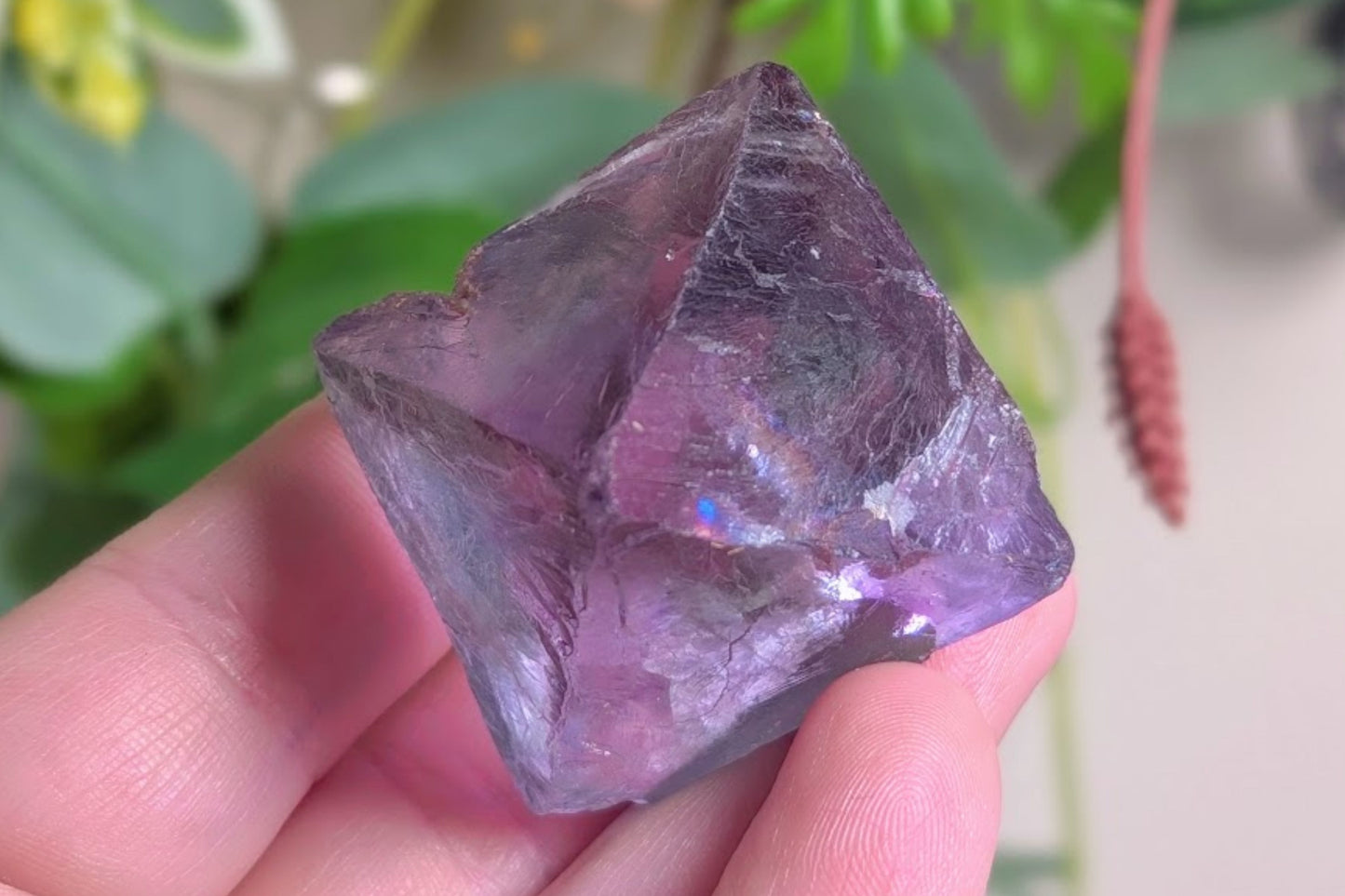 Fluorite Octahedron