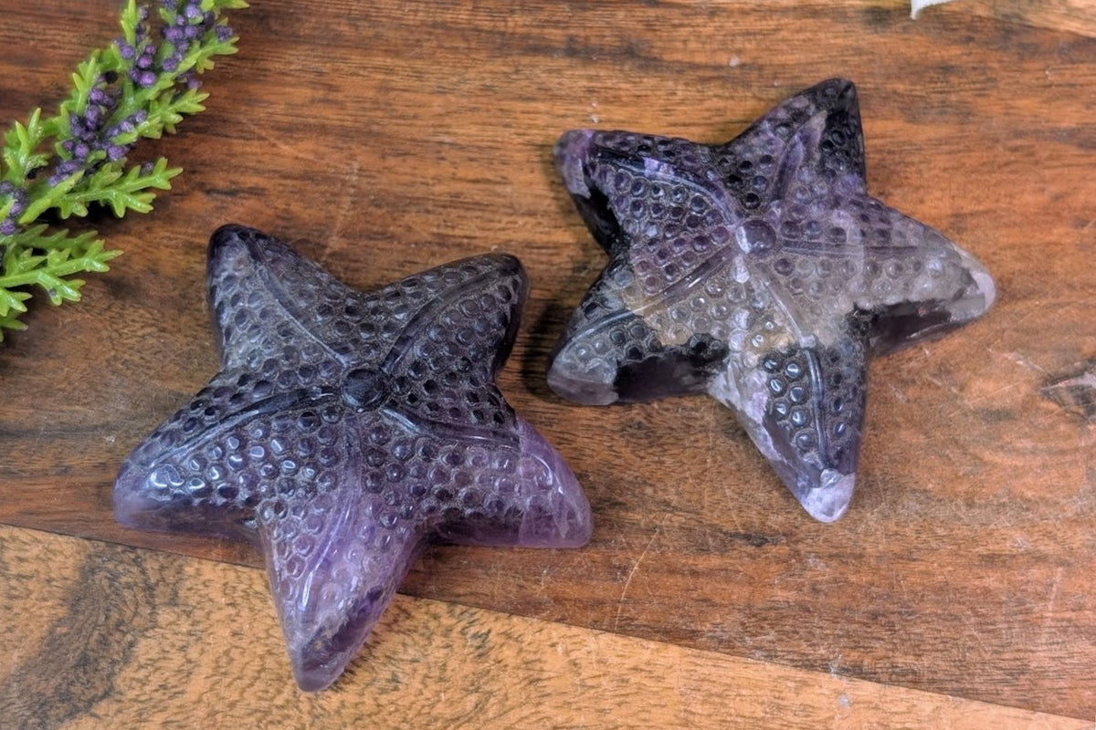 Fluorite Starfish