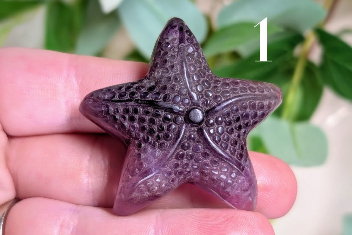 Fluorite Starfish