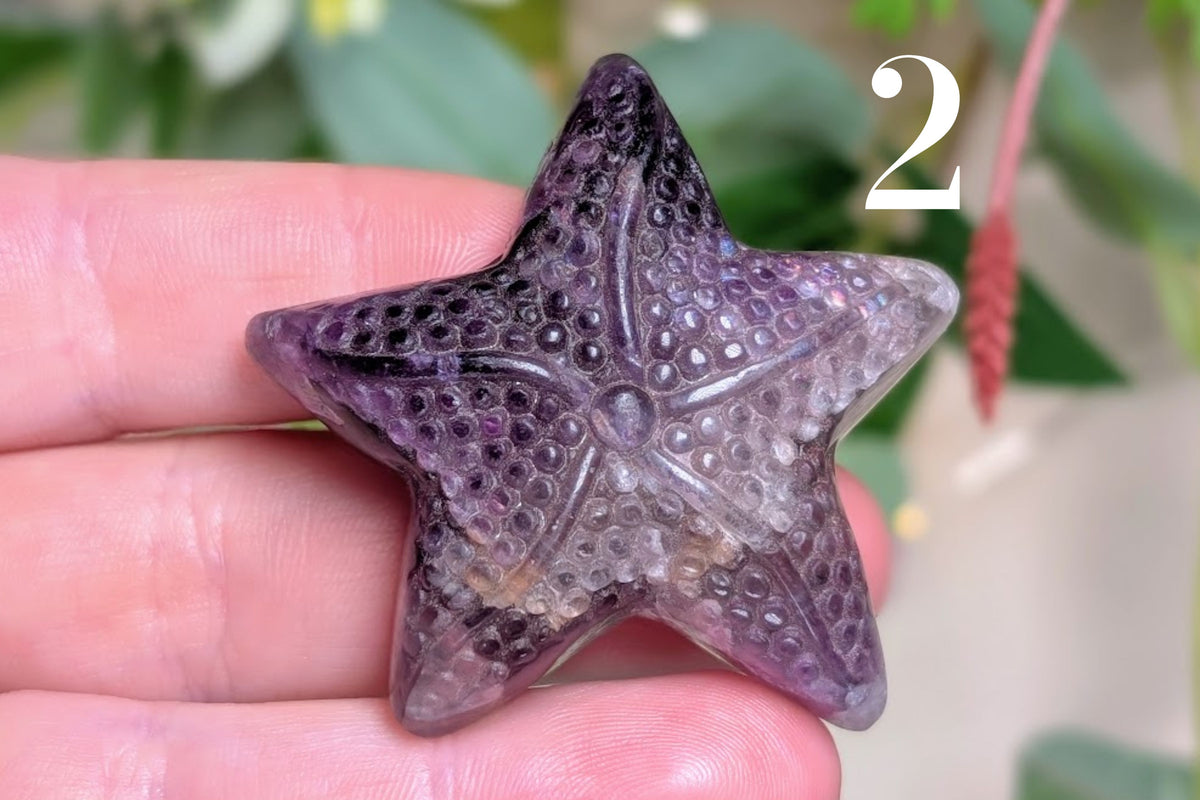 Fluorite Starfish