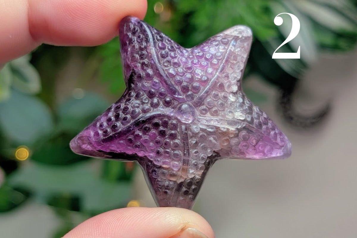 Fluorite Starfish