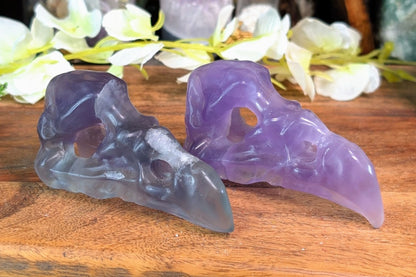 Fluorite Vulture Skull