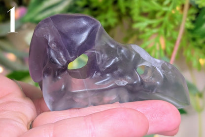 Fluorite Vulture Skull