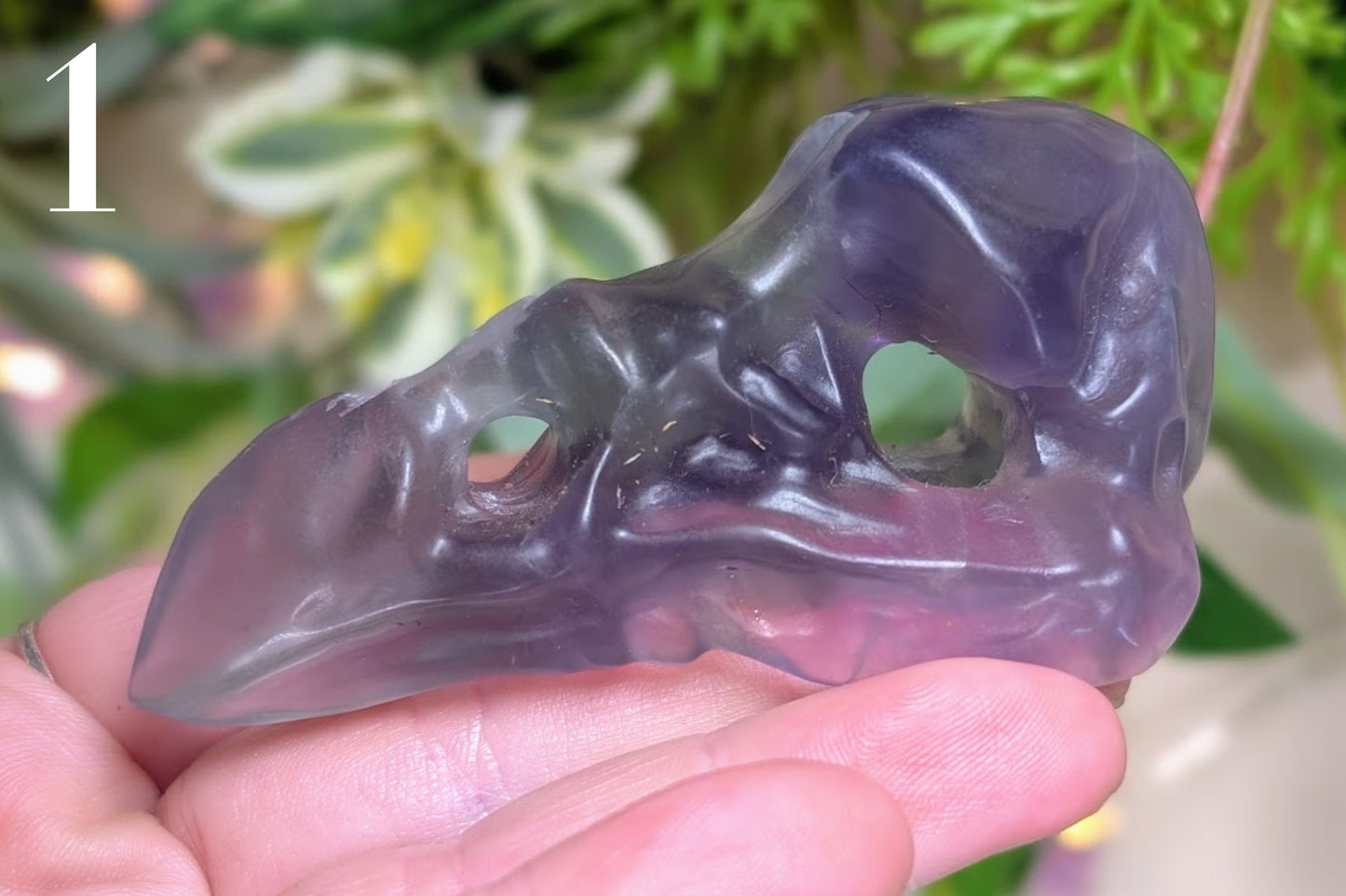 Fluorite Vulture Skull