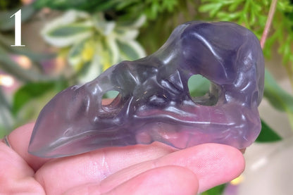 Fluorite Vulture Skull