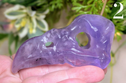 Fluorite Vulture Skull