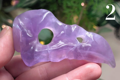 Fluorite Vulture Skull