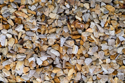 Fossil Coral Chips - 2 oz Bag