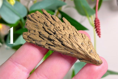 Gold Aura Kyanite Fan