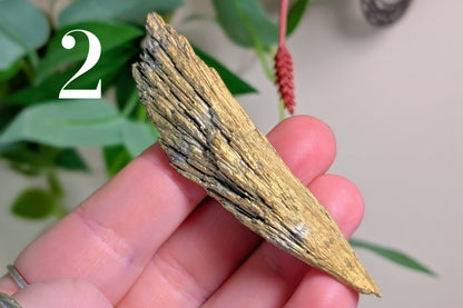 Gold Aura Kyanite Fan