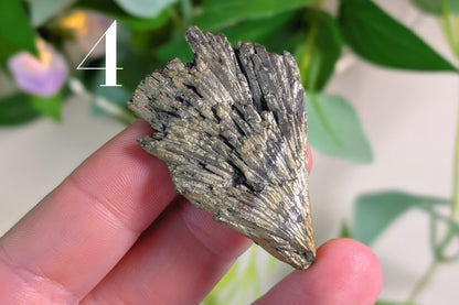 Gold Aura Kyanite Fan