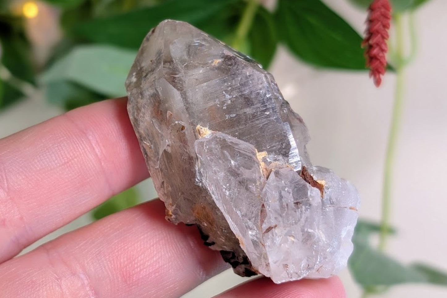 Harlequin Quartz Rough Point
