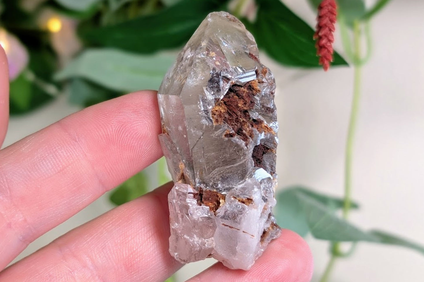 Harlequin Quartz Rough Point