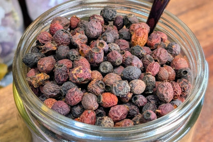 Hawthorn Berries - 1 oz Bag