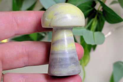 Infinite Serpentine Mushroom
