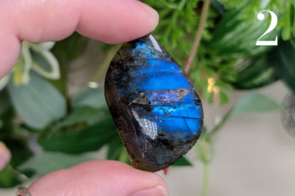 Labradorite Cabochon