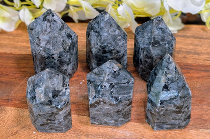 Larvikite Free Form Polished Point