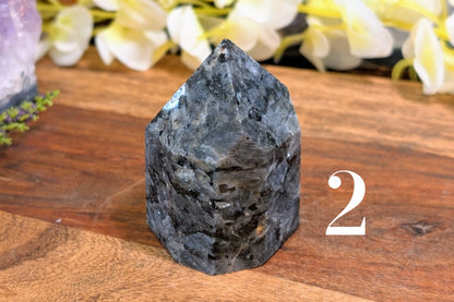 Larvikite Free Form Polished Point