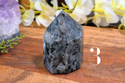 Larvikite Free Form Polished Point
