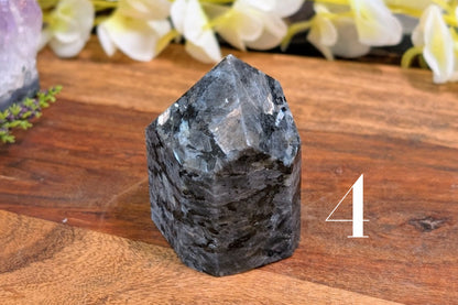 Larvikite Free Form Polished Point