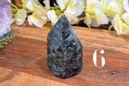 Larvikite Free Form Polished Point