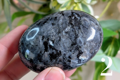 Larvikite Palm Stone