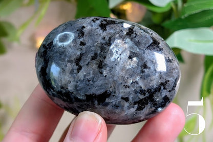 Larvikite Palm Stone