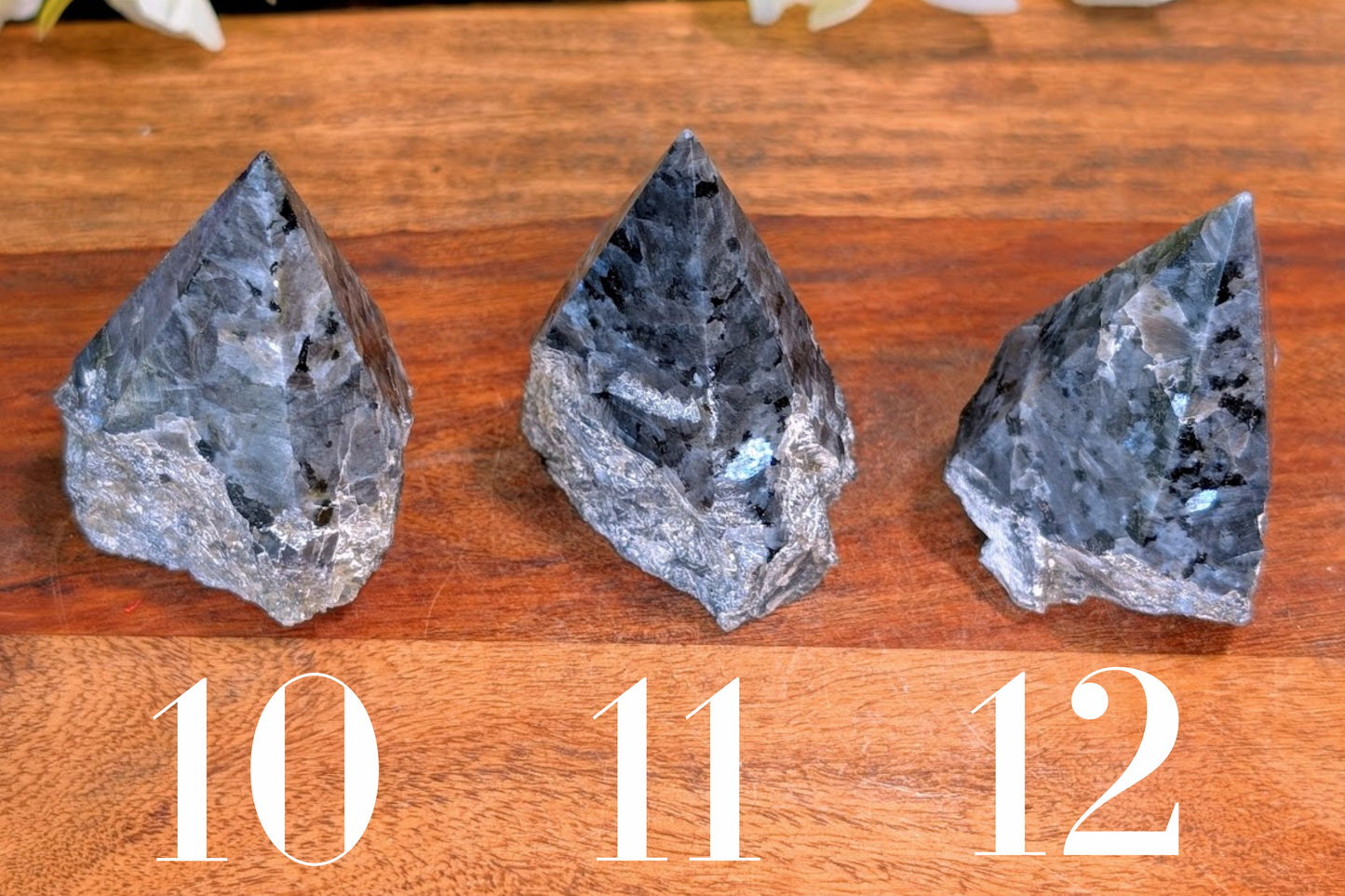 Larvikite Polished Top Point