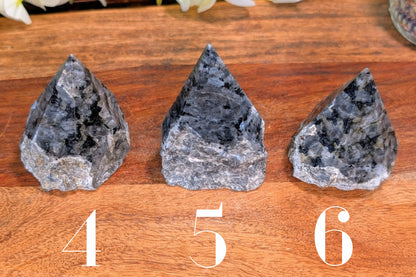 Larvikite Polished Top Point