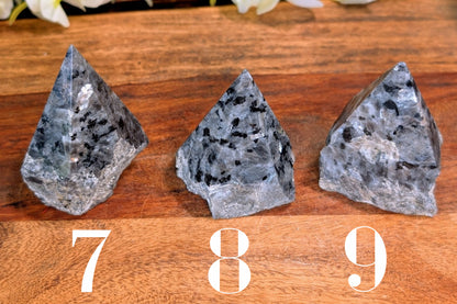 Larvikite Polished Top Point