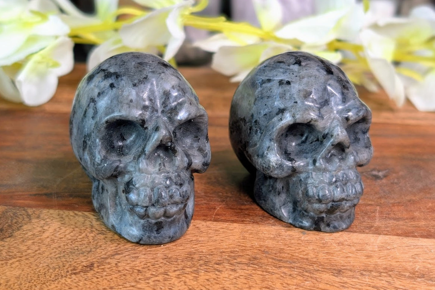 Larvikite Skull