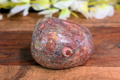 Leopard Skin Jasper Palm Stone