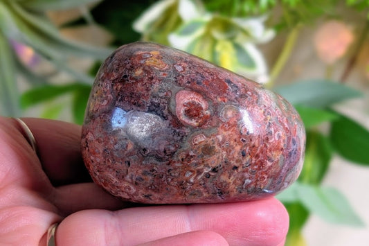 Leopard Skin Jasper Palm Stone
