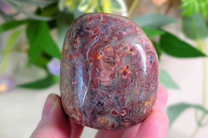 Leopard Skin Jasper Palm Stone