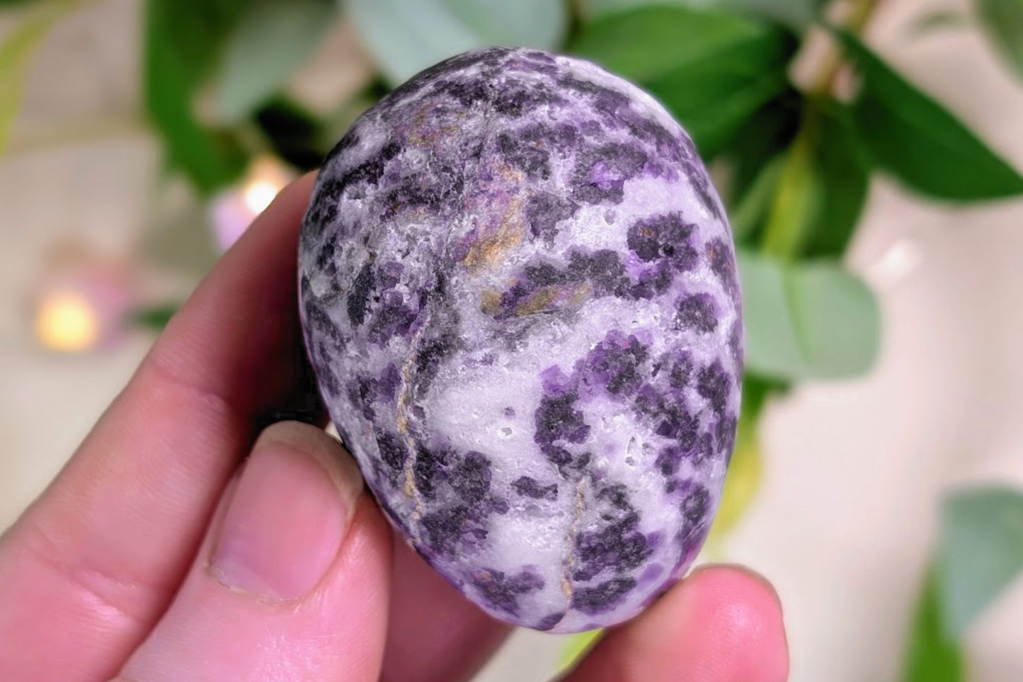 Lepidolite in Quartz Egg