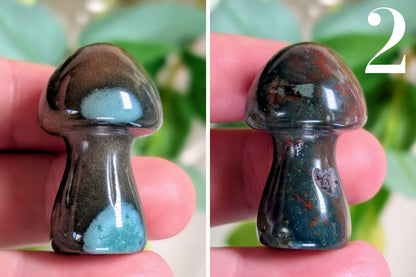 Moss Agate Mushroom