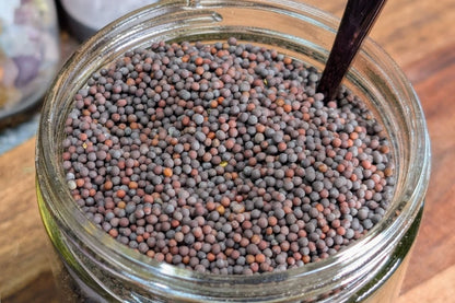 Brown Mustard Seeds - 1 oz Bag