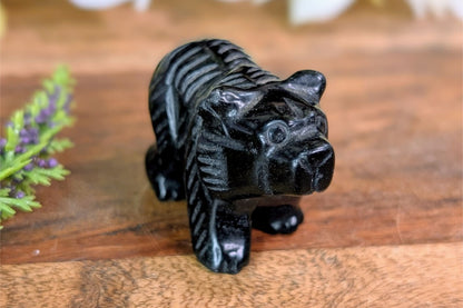 Obsidian Bear