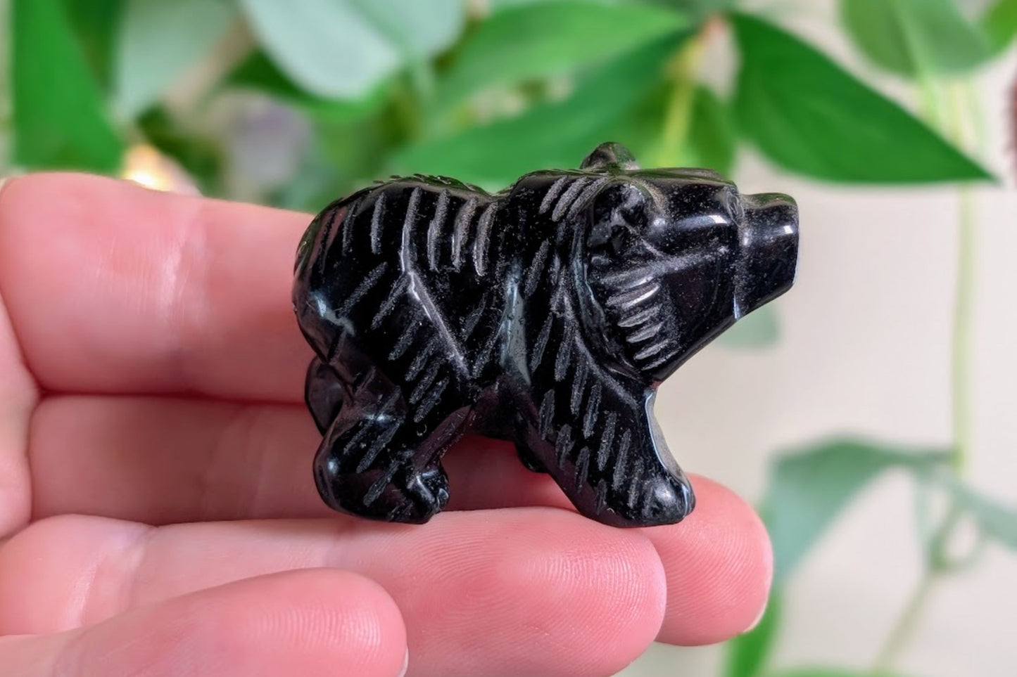 Obsidian Bear