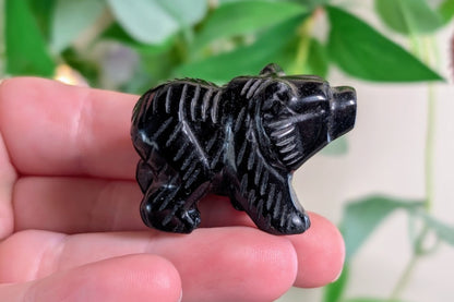 Obsidian Bear