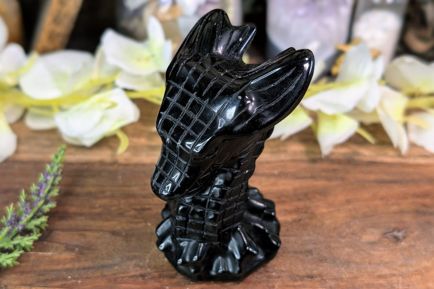 Obsidian Dragon Bust