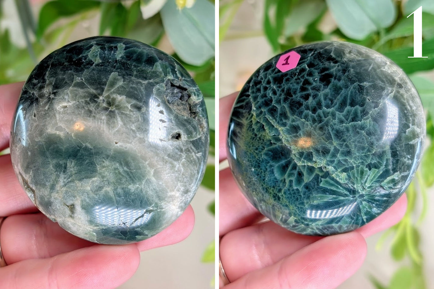 Ocean Jasper Palm Stone