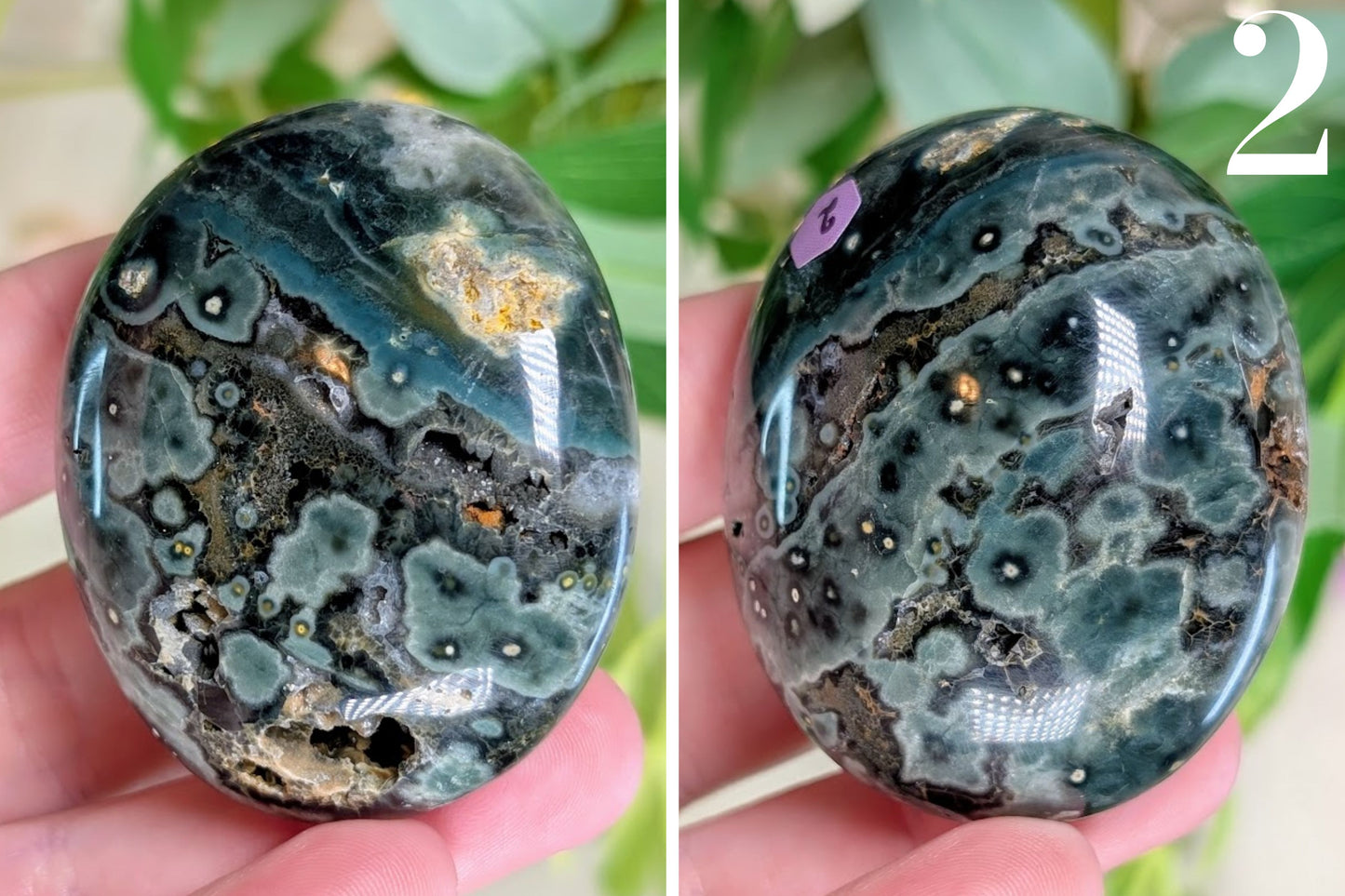 Ocean Jasper Palm Stone
