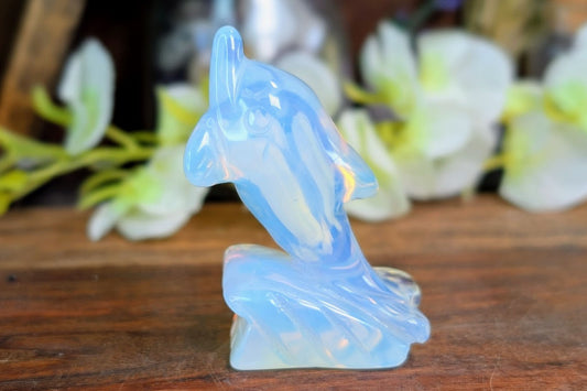 Opalite Dolphin