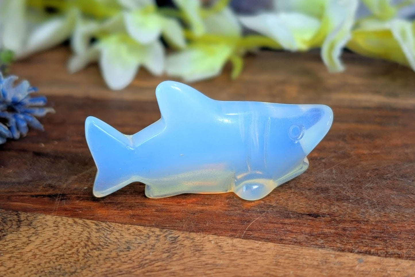 Opalite Shark