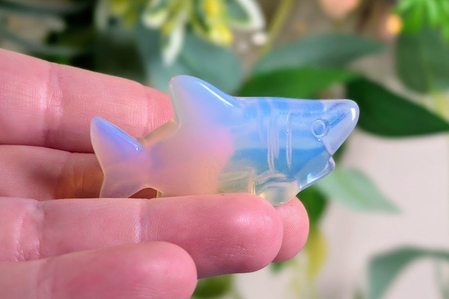 Opalite Shark