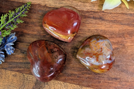 Petrified Wood Heart