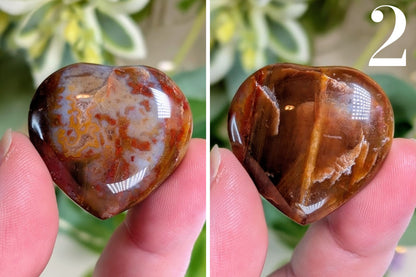 Petrified Wood Heart