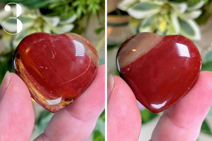 Petrified Wood Heart