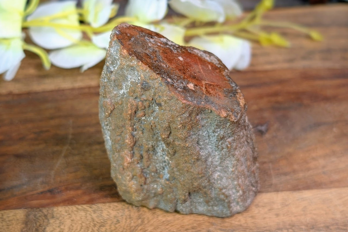Petrified Wood Limb